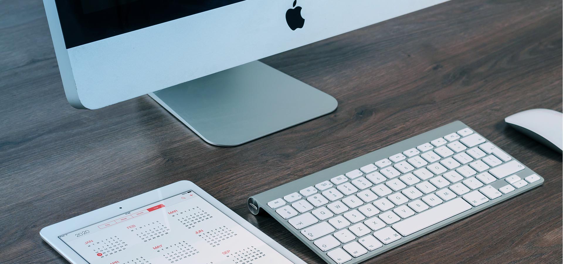 w66国际·利来(中国)最给力的老牌